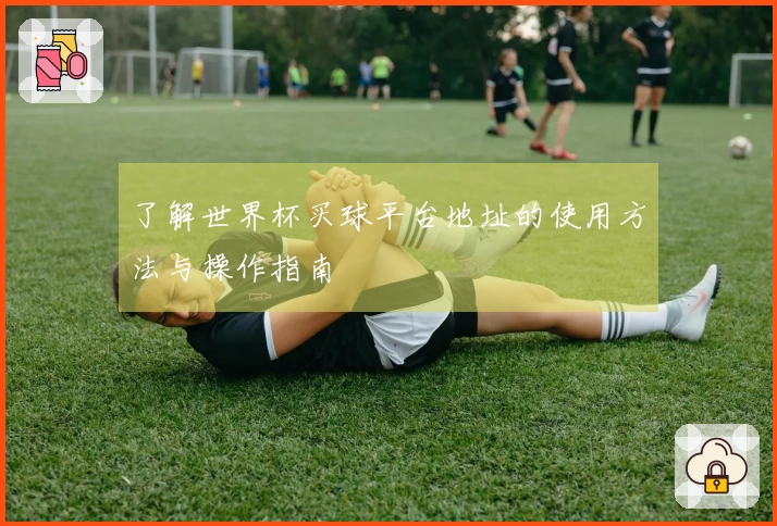 了解世界杯买球平台地址的使用方法与操作指南