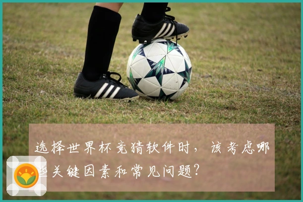 选择世界杯竞猜软件时，该考虑哪些关键因素和常见问题？