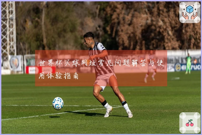世界杯买球网址常见问题解答与使用体验指南