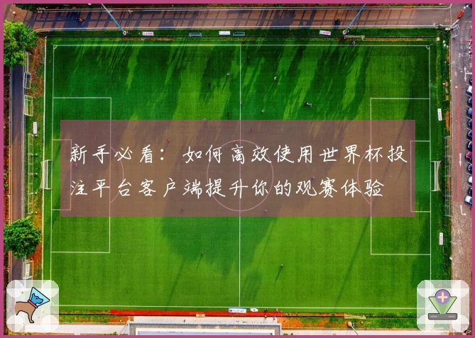 新手必看:如何高效使用世界杯投注平台客户端提升你的观赛体验