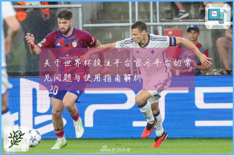 关于世界杯投注平台官方平台的常见问题与使用指南解析