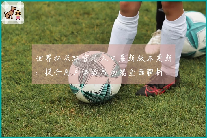 世界杯买球官方入口最新版本更新，提升用户体验与功能全面解析