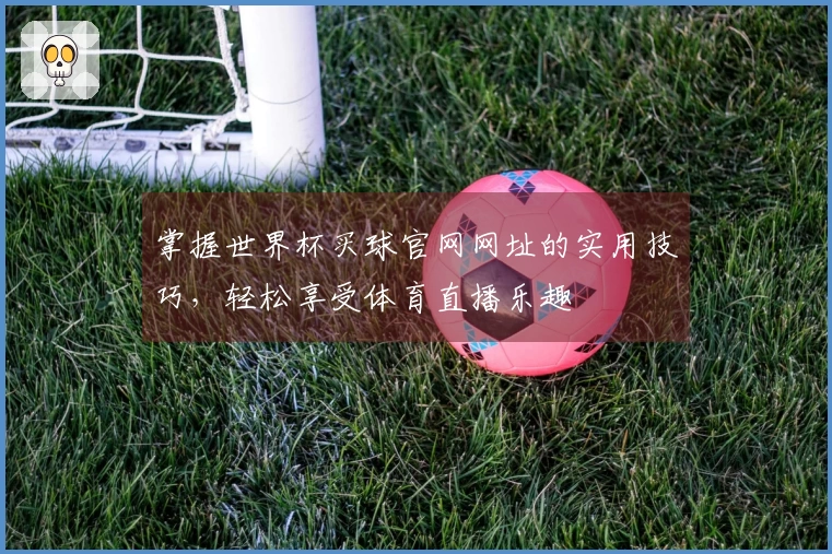 掌握世界杯买球官网网址的实用技巧，轻松享受体育直播乐趣