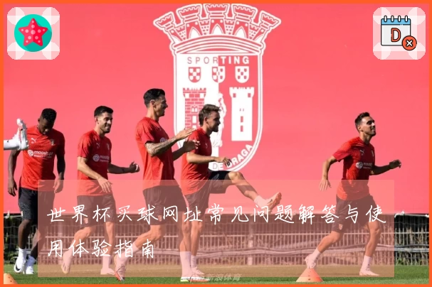 世界杯买球网址常见问题解答与使用体验指南
