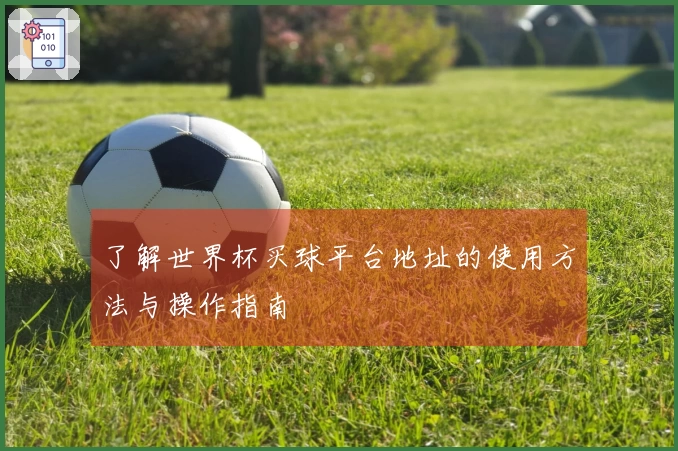 了解世界杯买球平台地址的使用方法与操作指南